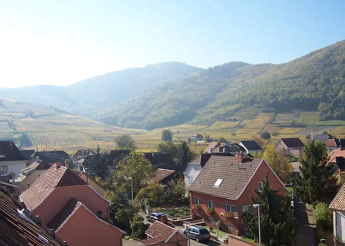 Restaurant Cristal Hotel Wintzenheim